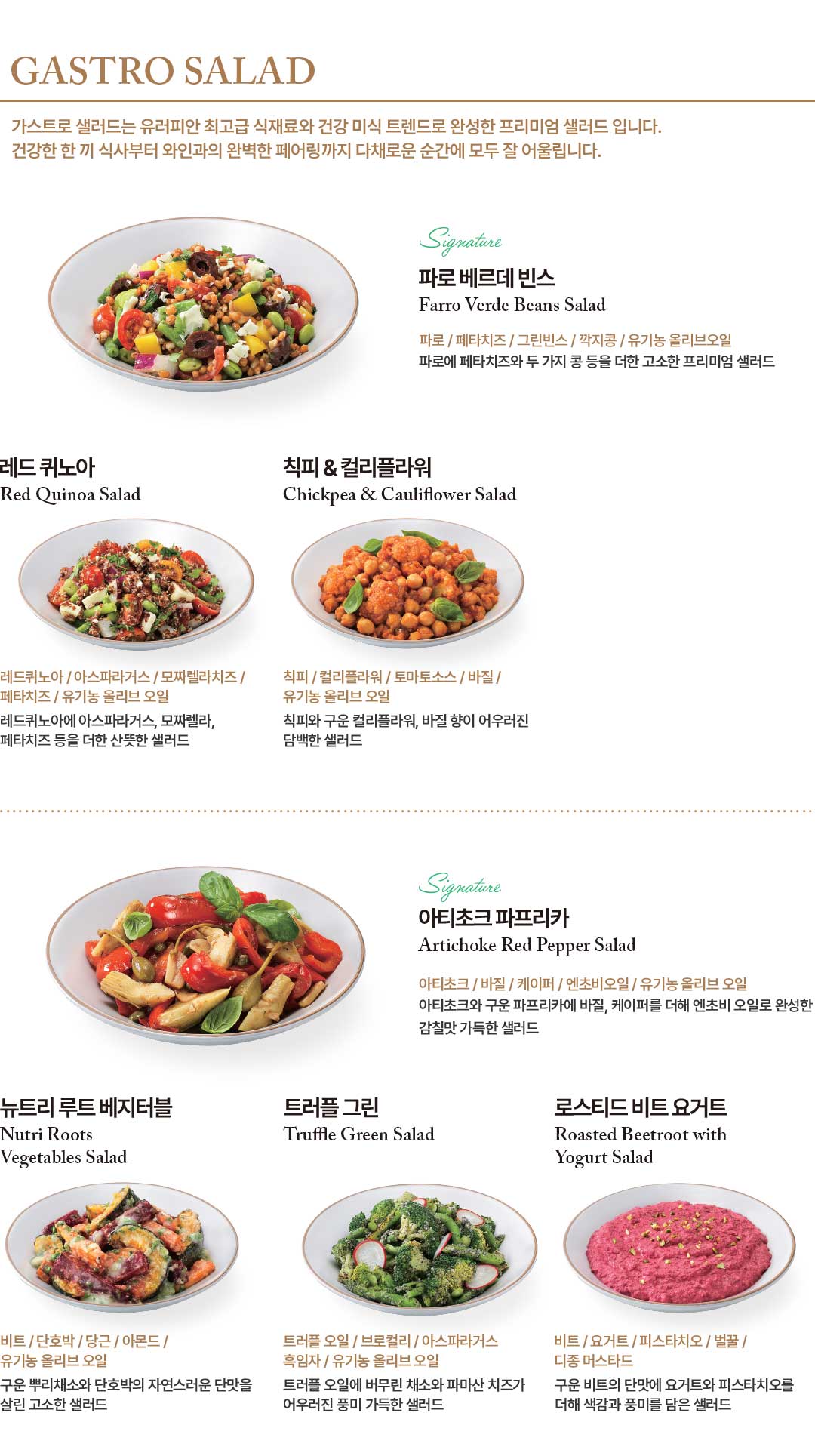 GASTRO SALAD 메뉴